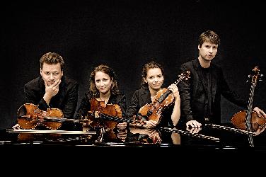 Armida Quartett beim Konzertverein